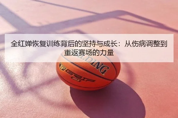 全红婵恢复训练背后的坚持与成长：从伤病调整到重返赛场的力量